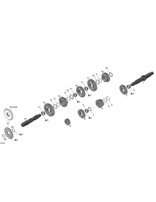 FIXED GEAR, 13 TEETH – 420234824