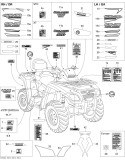 LH PANEL DECAL – 704901256