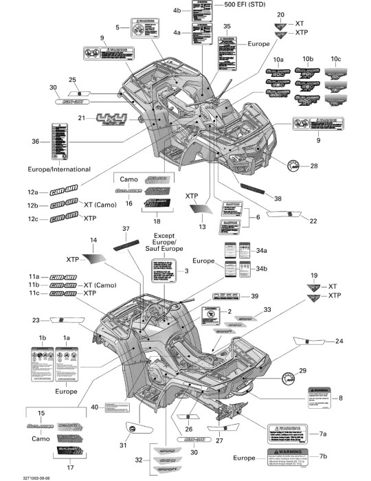 LH CENTER PANEL DECAL – 704901660