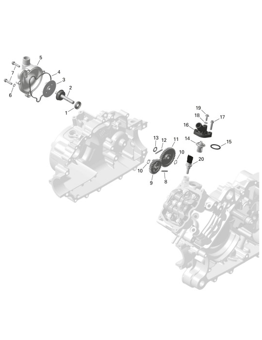 IDLE GEAR, 34 TEETH – 420635620
