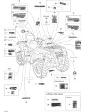 RH DECAL – 704901054
