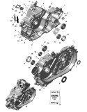 REED VALVE STOP – 420224725
