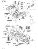 SIDE DECAL V TWIN EFI – 704901437