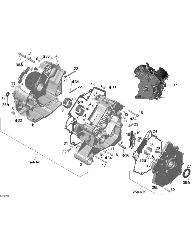 PLUG SCREW M12 X 1.5 – 420840651