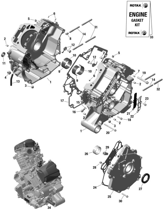 STUD – 420241019
