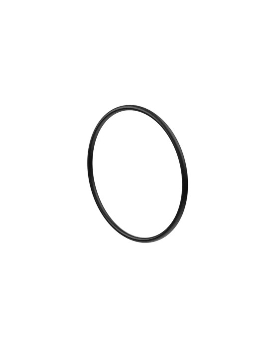 293300086