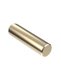 BEARING PIN – Bearing Pin – 420629192