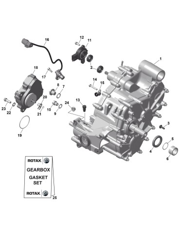GEAR BOX – 420686654