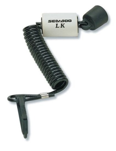 Programuojamas raktelis (Learning key)