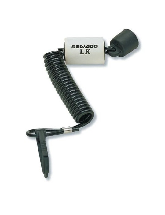 Programuojamas raktelis (Learning key)