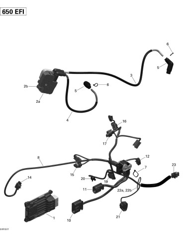 ECM, ENGINE CONTROL MODULE – 420264616