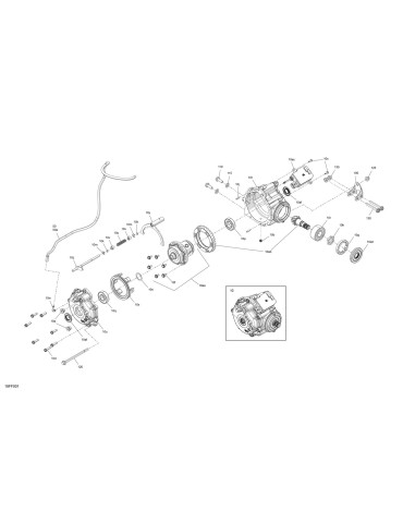 DIFFERENTIAL F ASSY – 705403884