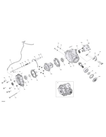 DIFFERENTIAL – 705404267