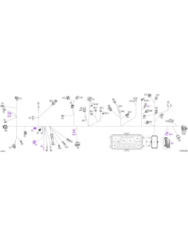 WIRING HARNESS ASSY – 710005560