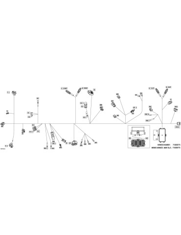 WIRING HARNESS_MAIN – 710009775