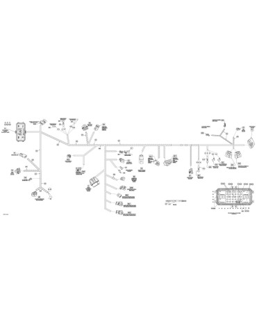 WIRING HARNESS MAIN – 710002116