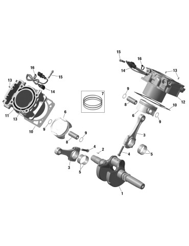 CRANKSHAFT – 420219736