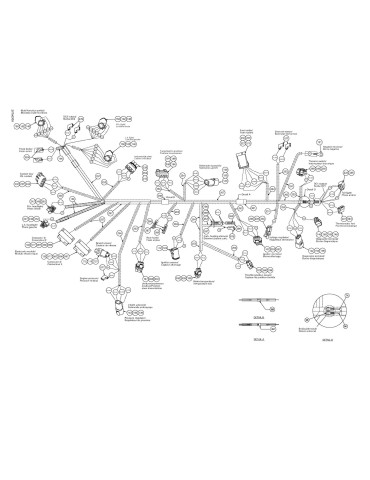 CABLAGE ASS.   *HARNESS ASSY. – 710000374