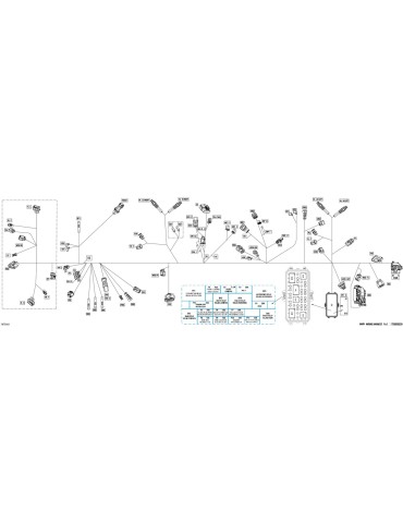 WIRING HARNESS_MAIN – 710009781