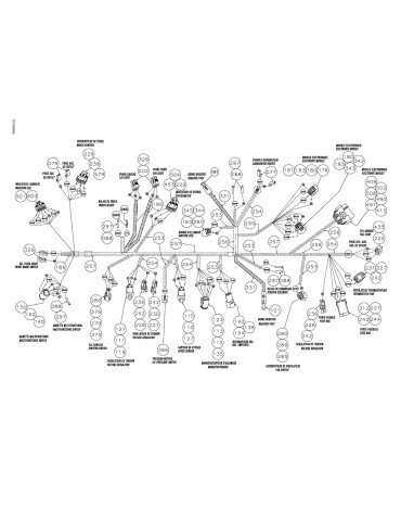 CABLAGE ASS.   *HARNESS ASSY. – 710000445