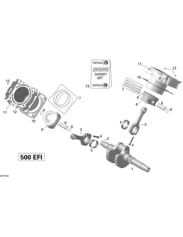 CRANKSHAFT – 420219697
