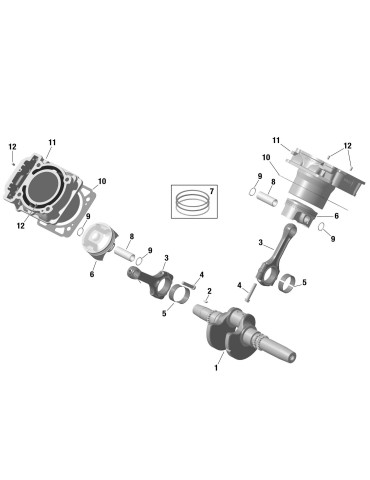 CRANKSHAFT – 420219835