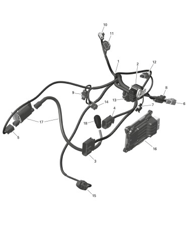 ECU MODULE – 420666281