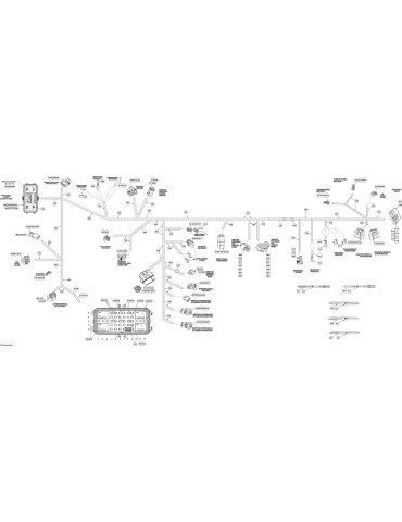 WIRING HARNESS MAIN – 710001672