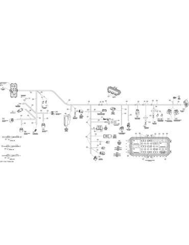 WIRING HARNESS MAIN – 710002138