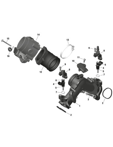 THROTTLE BODY – 420892596