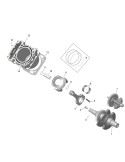BALANCE SHAFT ASSEMBLY – 420637455