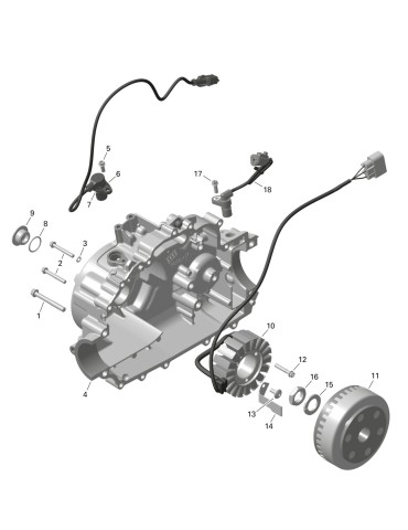 FLYWHEEL – 420686275