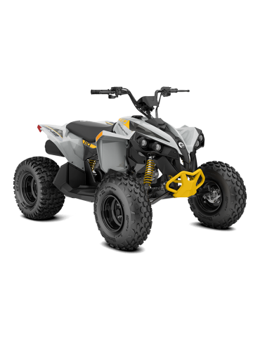 2026 Renegade EFI 110 | Can-Am