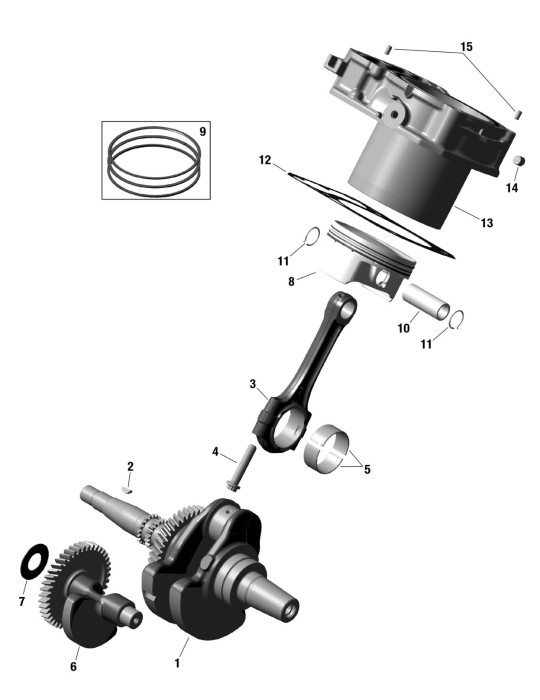 BALANCE SHAFT ASSEMBLY – 420637482 / 420637483