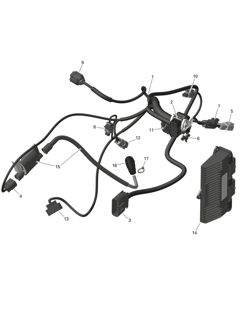 ENGINE WIRING HARNESS – 420464290
