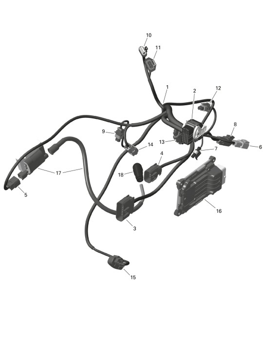 ENGINE WIRING HARNESS – 420464335