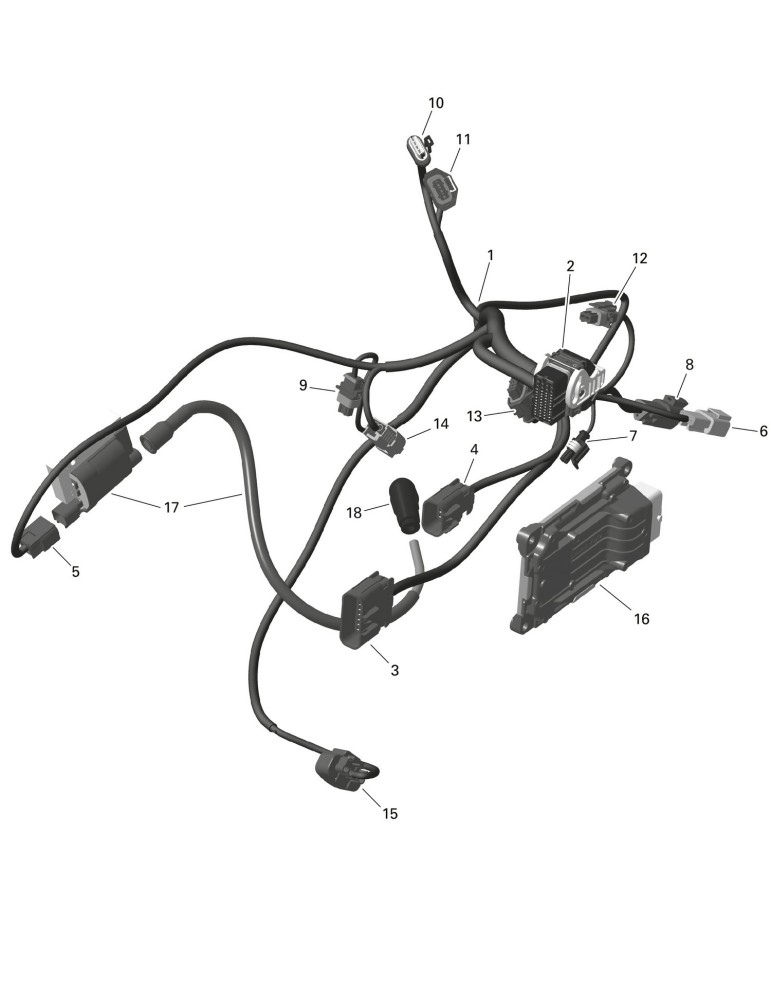 ENGINE WIRING HARNESS – 420464337