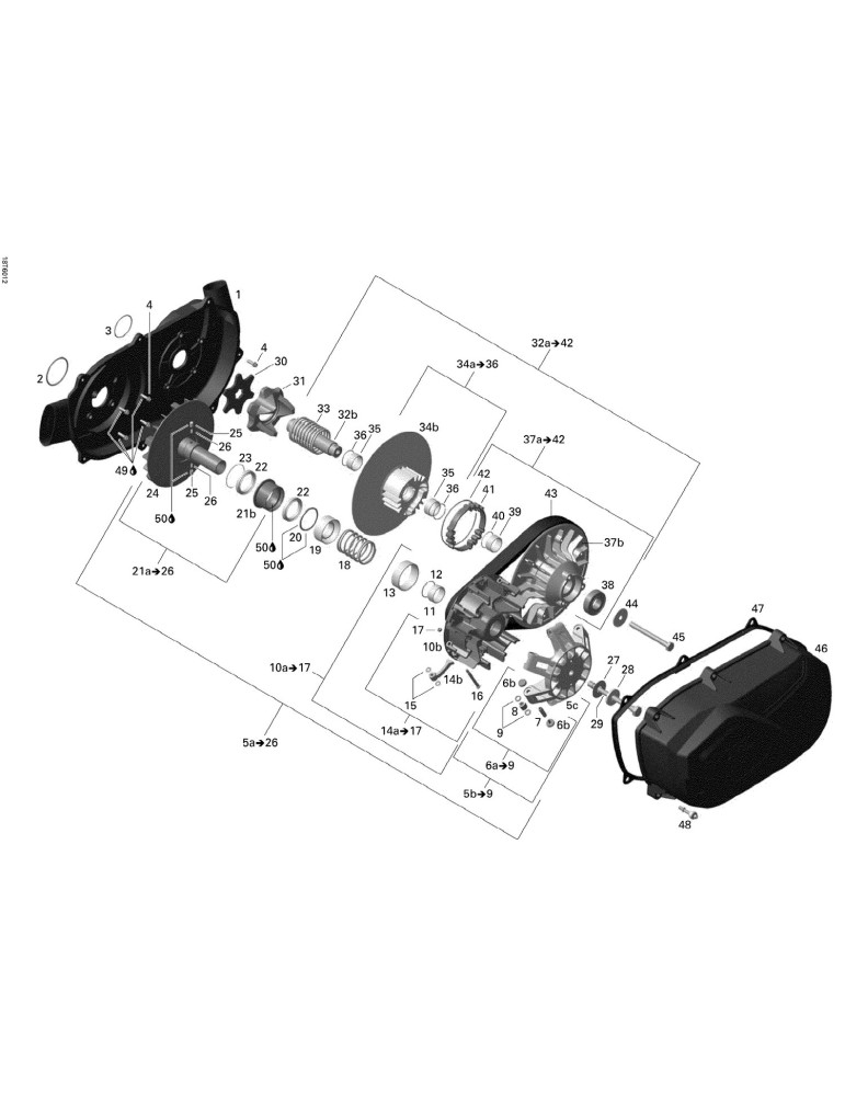 CENTRIFUGAL LEVER SET – 420248498